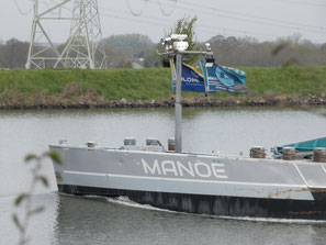 Manoe