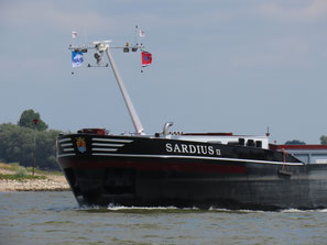 Koppelverband Sardius