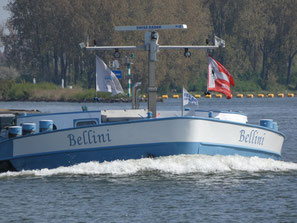 Bellini