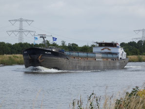 Wiljopa
