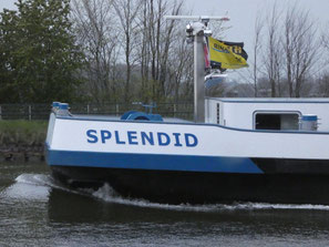 Splendid