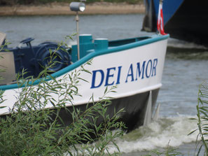 Dei Amor