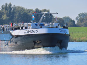Trivento