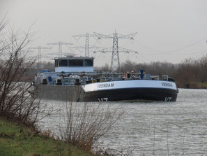Veendam