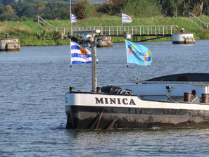 Minica