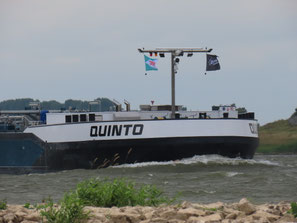 mts Quinto