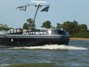 Pantera