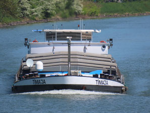 Timaja