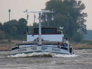 Fidato