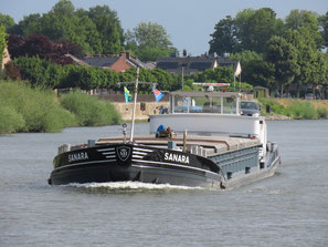 Sanara