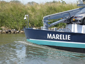 Marelie