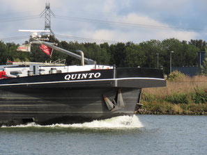 Quinto