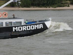Mordomia