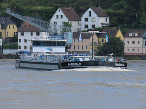 Maasvallei