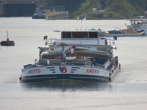 ms Amento