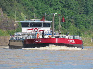 Savi