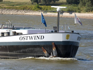 Ostwind