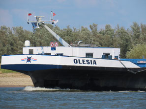 Olesia