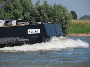 Oase