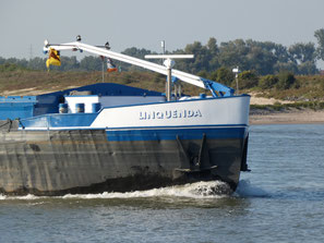 Linquenda l86m