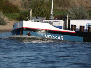 Neckar