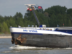 Mi Vida