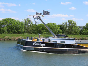 Cataleya