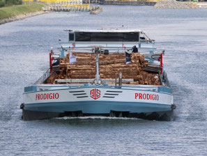 Prodigio