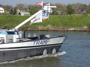 Tramp