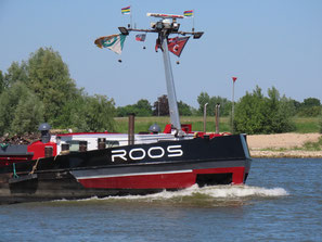 Roos