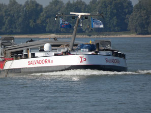 Koppelverband Salvadora