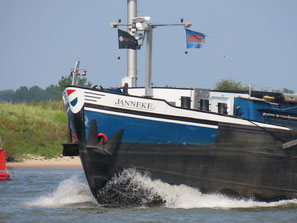 Janneke