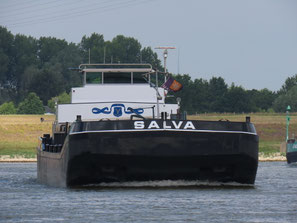 Salva
