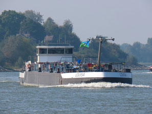 Louisa
