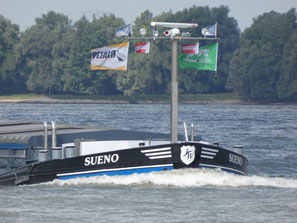 Sueno