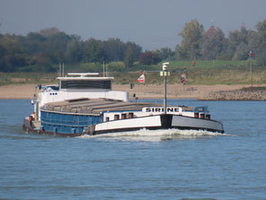 Sirene