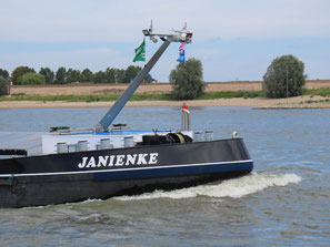 Janienke