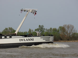 Dylanni