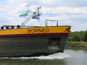 ms Borneo