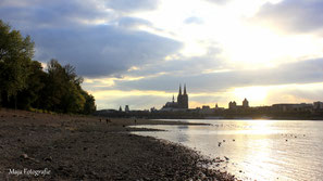 Rekord Niedrigwasser, Rhein 2018