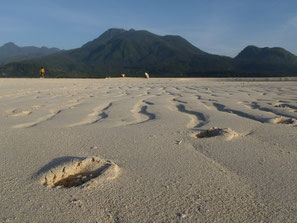 nypa style resort, camiguin, bungalows, camere, vacanze, escursioni, trekking, vulcano, spiagge, tropici, #feelcamiguin
