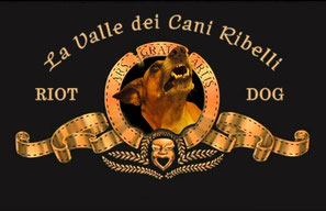 educatore cinofilo bologna addestratore cane