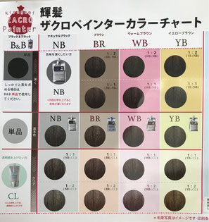 輝髪ザクロペインター - Hair Salon Occhi のページ