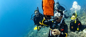 Photo of diver deploying dsmb for Padi specialty course delayed surface marker buoy in Nusa Penida