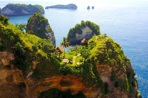 Aerial picture of jungle tree point in Nusa Penida