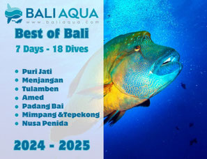 Thumbnail Scuba diving Best of Bali 7 days package