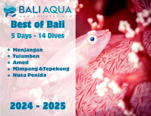 Thumbnail Scuba diving Best of Bali 5 days package