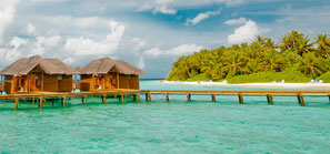 Malediven last minute Urlaub beliebte Insel Fihalhohi zum Tauchen Schnorcheln 