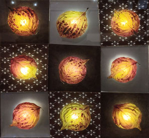 川村忠晴「草木の灯り」展 - 九つ井 山の上ギャラリー