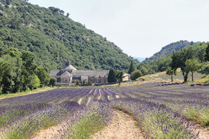 南仏の教会